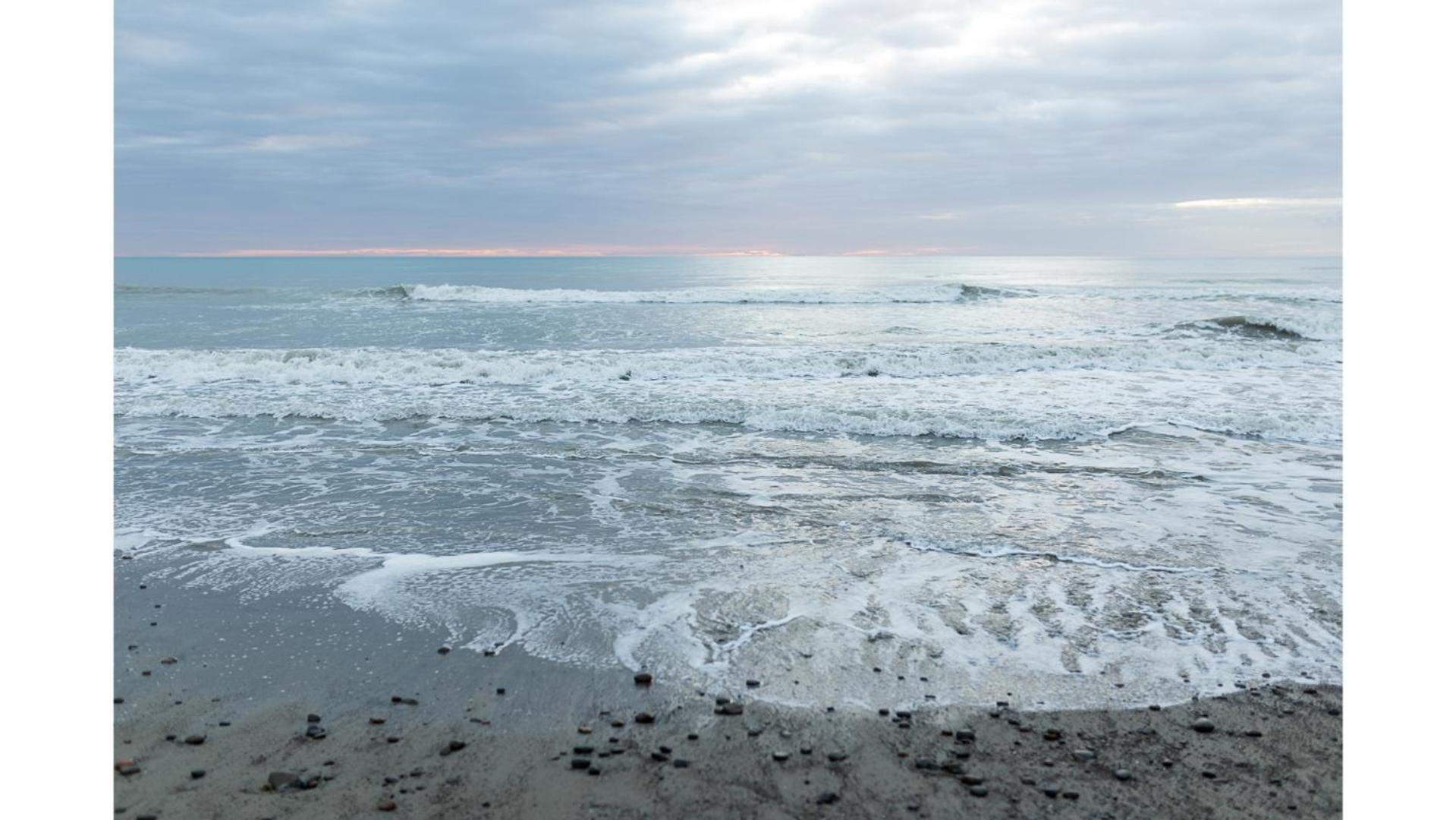 Pacific View By Tiny Away Villa Leithfield Bagian luar foto